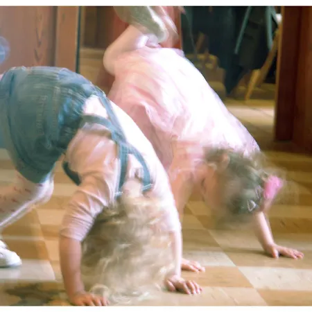 Landgasthof Sengstbratl * Wallsee