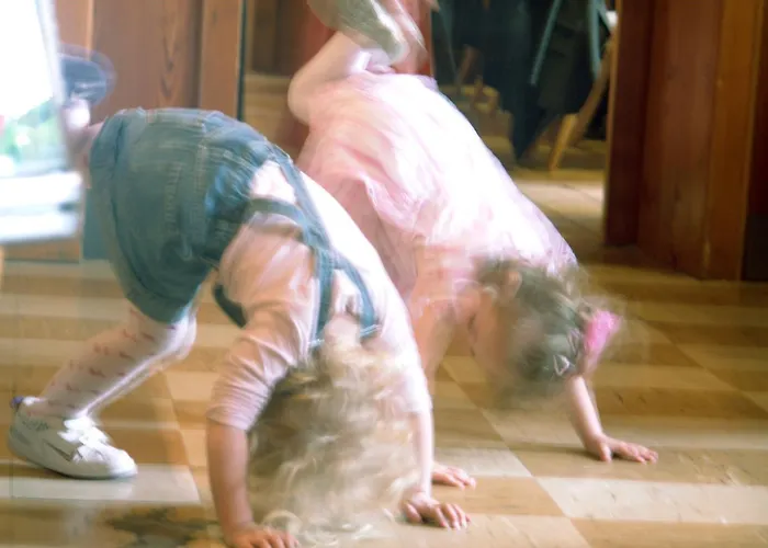 Landgasthof Sengstbratl * Wallsee